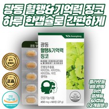 기억력개선 혈행개선 학습효율성개선 깜빡깜빡개선 도움 광동 혈행 기억력 징코 60캡슐 2개월분