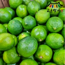 고군명가 썬키스트 라임 10과 1kg내외 대과, 1개