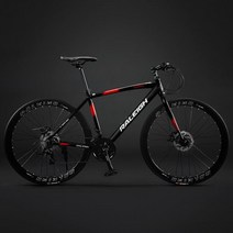 RALEIGH 로드 바이크 자전거 학생 출퇴근 입문용 30만원대 선물, 24단, F