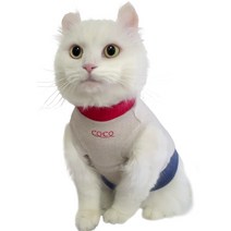 고양이옷코스튬 TOP100으로 보는 인기 상품