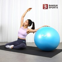 반석스포츠 에코짐볼 65cm, 블루