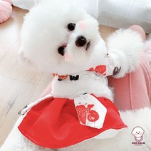 반려동물 새해 복 많이 받으세요 댕냥이 따뜻한옷 한복, 혼합색상