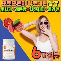 모루실 오렌지 락토페린 시칠리아 모르오렌지 엘라스틴 레몬밤 풋사과 과라나 차전자피 사과초모 비타민c
