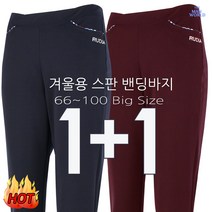리빙쉘 반영구 반려동물 털 전용 돌돌이 솔 브러쉬 크리너 2개세트, 레드2개