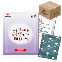 즐거운쇼핑 해피데이 포켓용 핫팩 100g, 20개입