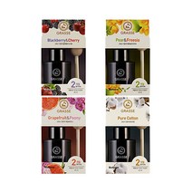 불스원 그라스디퓨저45ml 차량용 방향제, 블랙베리체리, 1개
