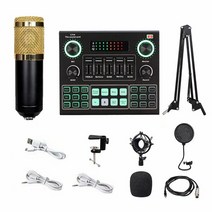 뜨거운 판매 V9 사운드 카드 BM800 프로 마이크 믹서 오디오 DJ 마이크 스탠드 콘덴서 USB 가라오케 KTV 전, 01 Stlye B