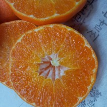 달콤살콤 고당도 프리미엄 제주 레드향 2kg 3kg 5kg, 1개, 레드향 중대 5kg (17-25과)