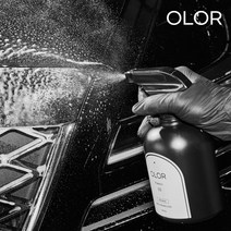 현대모비스 오로르 세차용품 버그리무버 [프레스코] 500ml, 1개