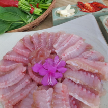 전라도 흑산도홍어 국내산홍어 목포홍어 국산홍어 흑산홍어 500g 1kg 1.5kg 생홍어 삭힌홍어 안삭힌홍어(1k이상주문시 홍어애또는묵증정)홍어코 초장서비스, 강숙성, 국산500g, 1개