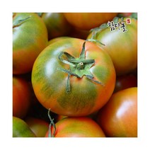 참다올(CHAMDAOL) 부산 단짠 대저 토마토 2.5kg S사이즈
