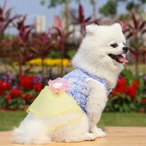 강아지 한복 개여름 복장 애완 동물 옷 치와와 웨딩 드레스 치마 강아지 봄 한복 고양이 의상, 03 보라색_05 XL