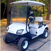 리조트 전동 골프 손님용 운송용, 1.One rowtwo seats