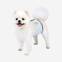 [스토어봄] 패턴디자인 수컷 강아지 기저귀 매너벨트-패리스독, 색상:핑크M