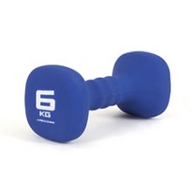 아이워너 네오프렌 사각 컬러아령 6kg 블루