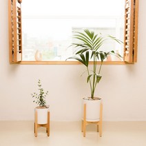 나무플랜트 겐차야자 우드스탠드 인테리어식물 거실화분, 서랍형받침대