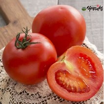 식탐대첩 하늘농장 찰토마토 특상품 5kg