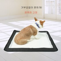 1+1 강아지 배변보조패드 양면방수 고정 논슬립매트 배변판 배변매트 소형견 대형견 특대형, M 62×55cm 2개