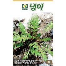 다농 질경이 5g - 씨 씨앗 질경이씨앗 질경이씨 차전초 길장구 배부장이 배합조개 나물씨앗 민속채소 채소씨 채소씨앗, 03_다농_냉이(3g)