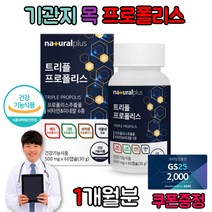 입이헐었을때 잇몸 기관지 목 입천장 입안 아픔 돌기 염증 그린 프로폴리스