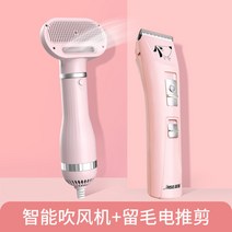 반려동물 드라이기 세트 강력 털말리기 강아지 고양이 펫드라이 반려견 샤워 목욕, 옵션10