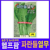 헬프팜 파란들열무 30g 씨앗 종자 그린하트바이오