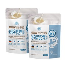 내추럴박스 _ 농축 유청 단백질 분말 500g 2개 독일산 WPC 헬스보충