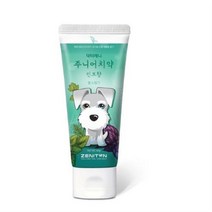 제니튼 주니어 치약 민트향, 29개, 60g