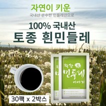 흰민들레즙 국내산 100% 토종 하얀 민들레 흰민들레 포공영 진액 엑기스 즙 차 효능 추천 국산, 80ml * 30포, 2박스