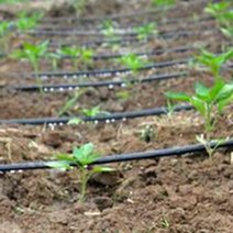 농업용 스프링쿨러 농업 관개 드립 테이프 20 40 100 미터 16mm 0.2mm 두께 30cm 공간 온실 급수 시스템용, 03 40m