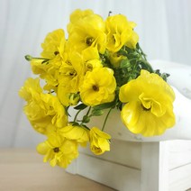 (블루밍레시피)라넌큘러스 버터플라이 피탈로스 헤라 아리아드네 생화 농가꽃, 바이올렛레드(헤라)