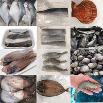 정서방네 온라인생선가게 골라담기 생선 새우 장어 바다생선, 바다장어 중장어 750g