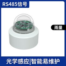 강우량 센서 게이지 관측소 측정기 레인 우설 강수량 측정 우량 농업용 기상 비 눈, RS485 유형