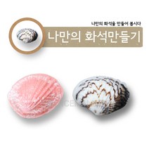 나만의 화석만들기(조개화석)[6명1세트]