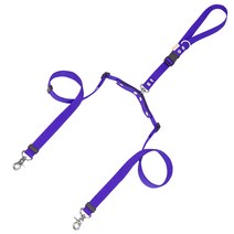 [패피퍼피] 강아지 소형견 중형견 360도 회전 쌍리드줄, 블루