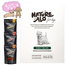 네이쳐 알로 900g+동애등에 간식 100g 강아지 눈물 알러지 다이어트 인섹트 사료 곤충단백질, 소고기