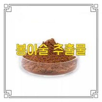 소율국제 봉아술 봉출 봉술 광술 고농축 추출물 분말, 20:1, 1000g, 1개