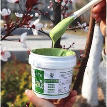 나무 상처 보호제 톱신페스트 수목 치유 연고제 식물, 500g 상처 치유제 + 브러쉬 그린, 500g