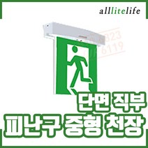 (올라이트) 천장형 피난구 유도등. 중형. 단면. 직부