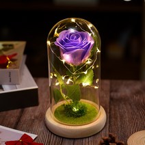 졸업선물 입학선물 집들이 선물 해바라기 유리돔 무드등 인테리어 장식 생일 미녀와야수, J