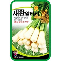 새찬알타리 씨앗 / 김장 가을 알타리 무 종자 무우 radish seed 소포장 대용량, 500g (대포장)