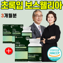 초록입 초록잎 보스웰리아 보이스 보수 웰릭산 웰리스 웰리아 웰리아나 라이신 메티오닌 오메가3 글루코사민 셀레늄 리프리놀 우슬 치커리 추출분말 간편 섭취 중년 여성 남성 허리 무릎, (2+1)개