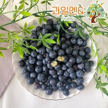 [과일엔] 칠레 블루베리 1팩(125g)x4팩, 단품