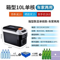 차량용 냉온장고 소형 냉장고 가정용 냉동고 차박 캠핑용, 10L 싱글코어/12V 차량용