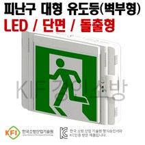 피난구 유도등 대형(벽부형)