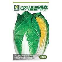 두메 부추 100립 부추씨앗 부추씨 야채씨 야채씨앗 채소씨 채소씨앗, 08_다농_CR가을뜰 배추(300립)