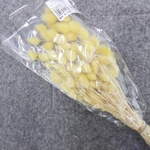 몰드몰 프리저브드 플라워 - 허니테일 ( 옐로우 오렌지 그린 )