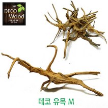 신바람 데코유목 M 프리미엄가지유목 (약 25cm)