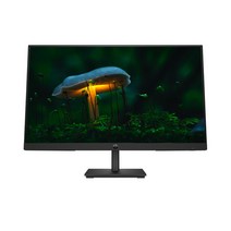 HP ProDisplay P24v G5 FHD 모니터
