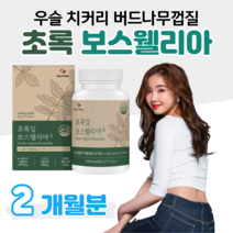 초록입 보스웰리아 하루 2정 인도산 보스웰릭산 초록 입 홍합 우슬 버드나무 껍질 치커리 홈쇼핑 영양제 프리미엄 골드 플래티넘 성분 가격 효능 비교 등산 조깅 런닝 필라테스, 2개월분, 1000mg x 60정 (하루두알)